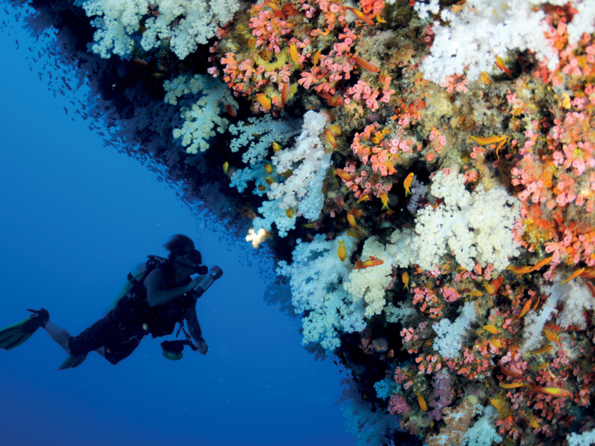Desroches Island Seychellen - Undiscovered.nl