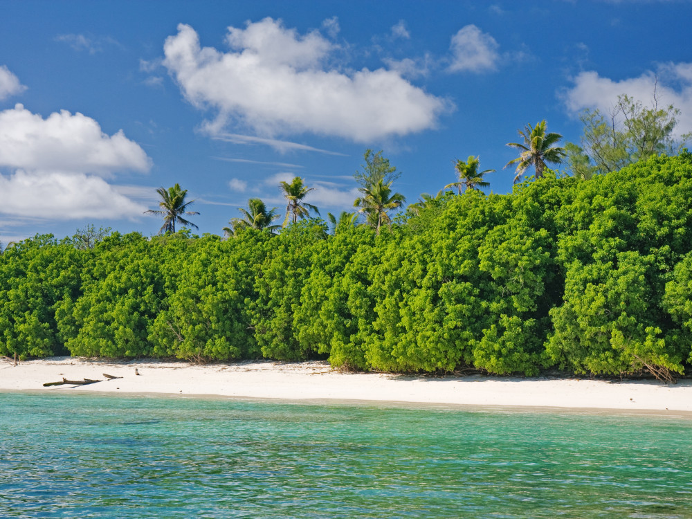 Bird Island Seychellen - Undiscovered.nl