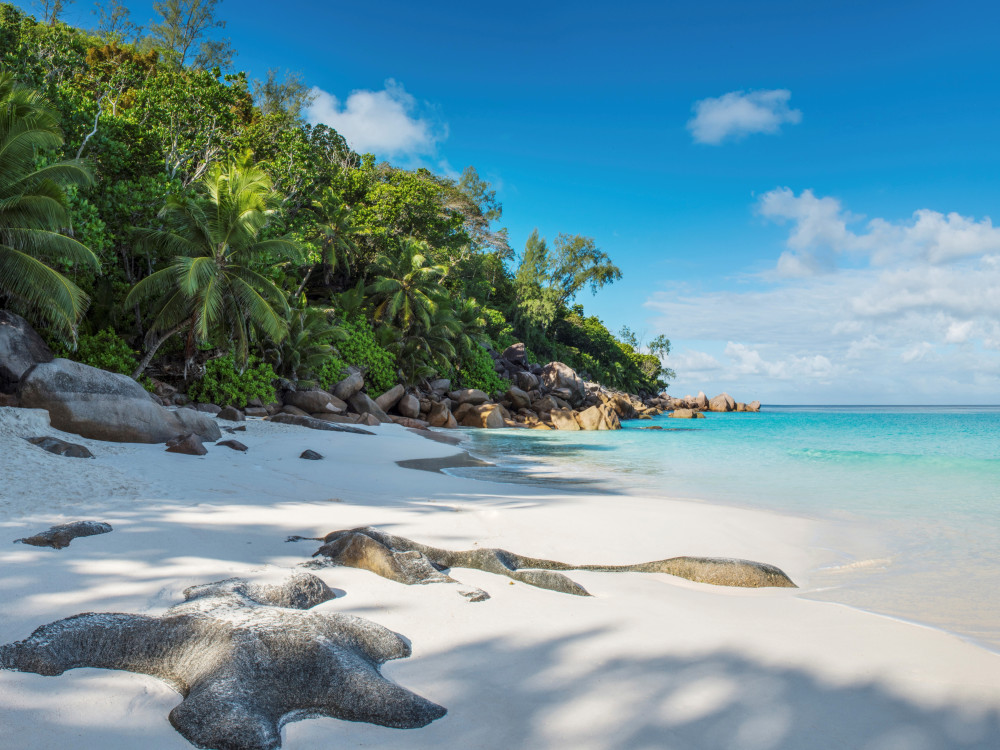 Strand Constance Lemuria Praslin - Undiscovered.nl