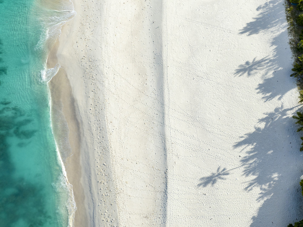 Cousin Island, Seychellen - Undiscovered.nl