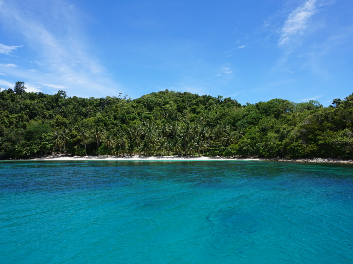 maxima paradise beach palawan - Undiscovered.nl