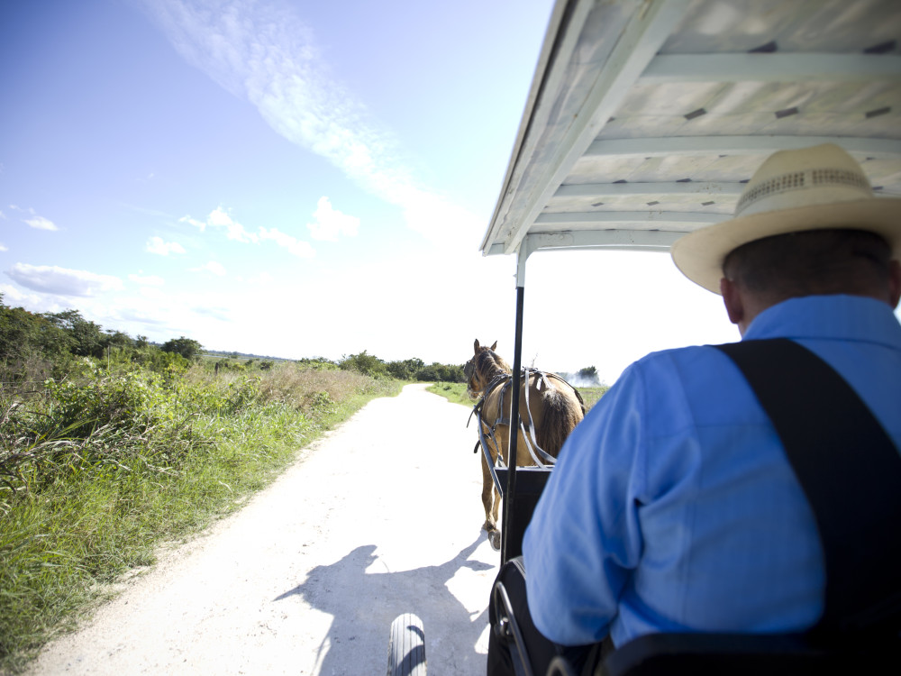 Paard-en-wagen, Belize - Undiscovered.nl