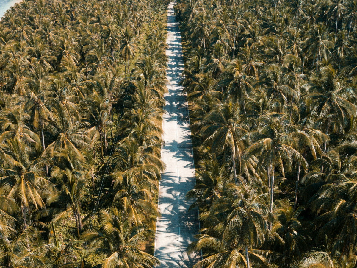 Weg op Siargao -Undiscovered.nl