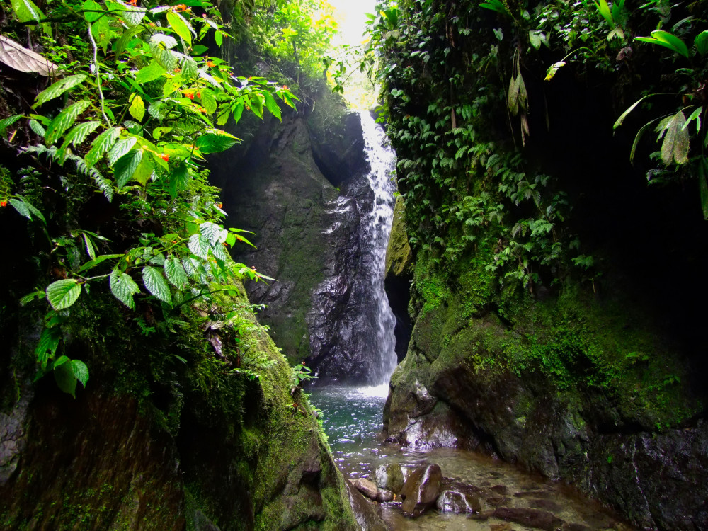 Mindo watervallen, Ecuador - Undiscovered.nl