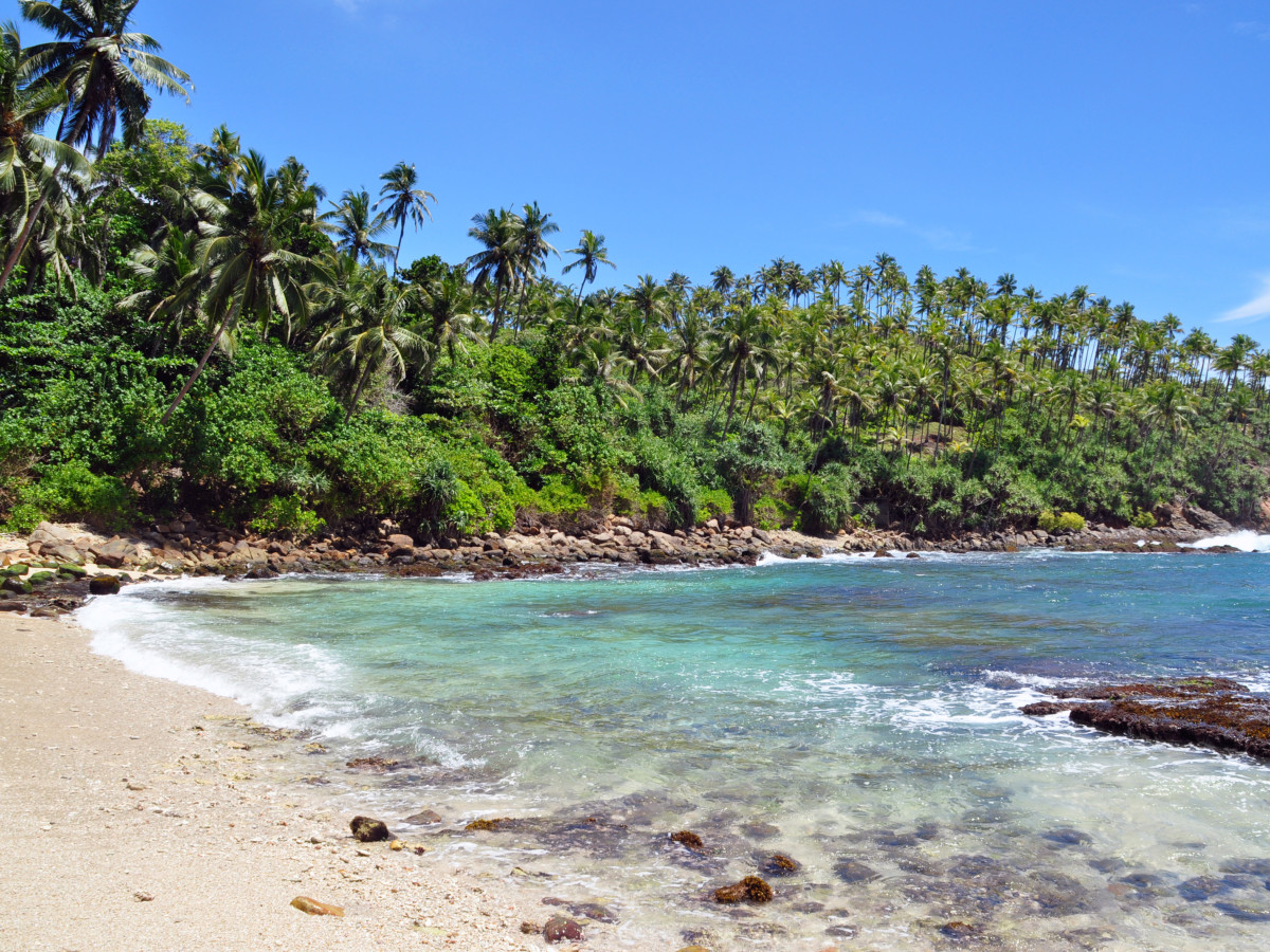 Sri Lanka Mirissa strand - Undiscovered.nl