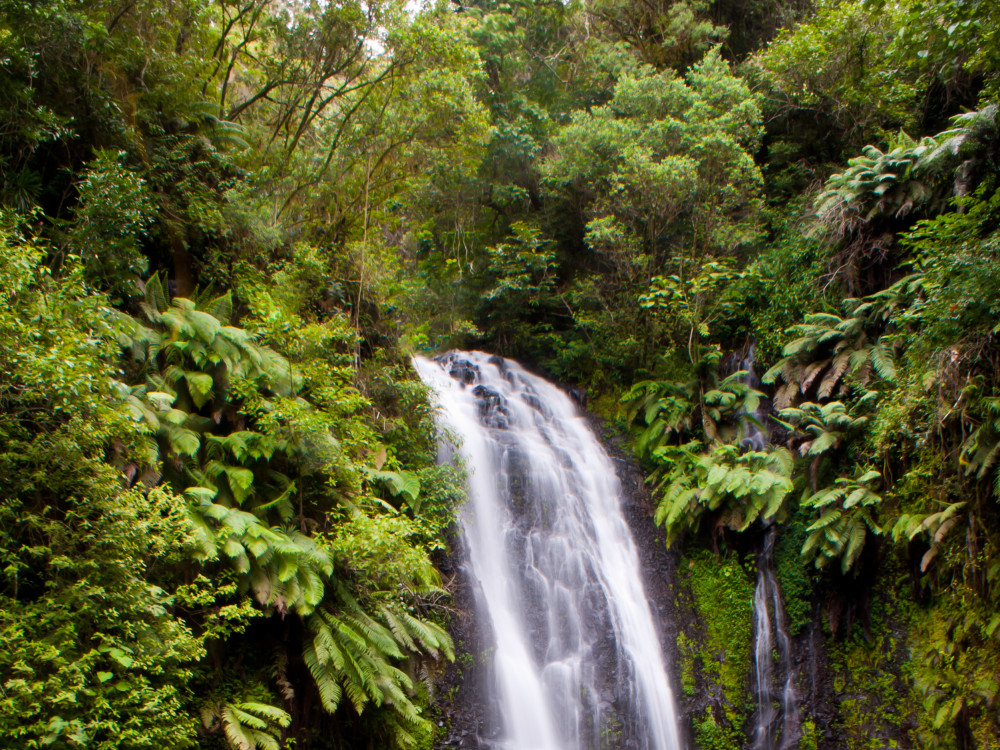 Amber Mountain National Park, Borneo - Undiscovered.nl