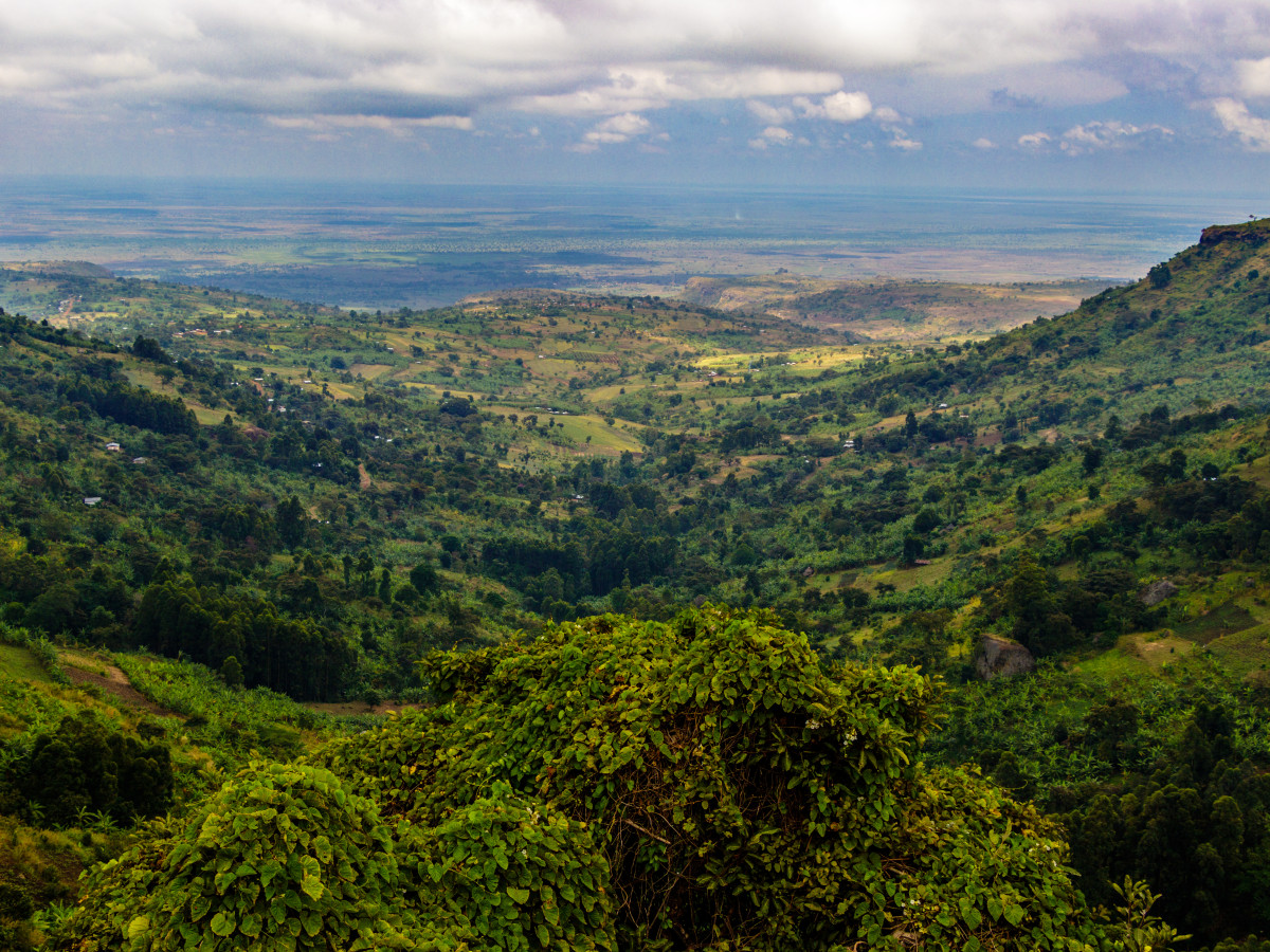 Mount Elgon National Park, Oeganda - Undiscovered.nl