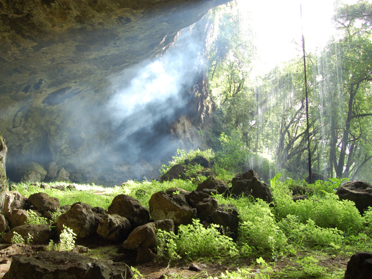 Mount Elgon National Park, Oeganda - Undiscovered.nl