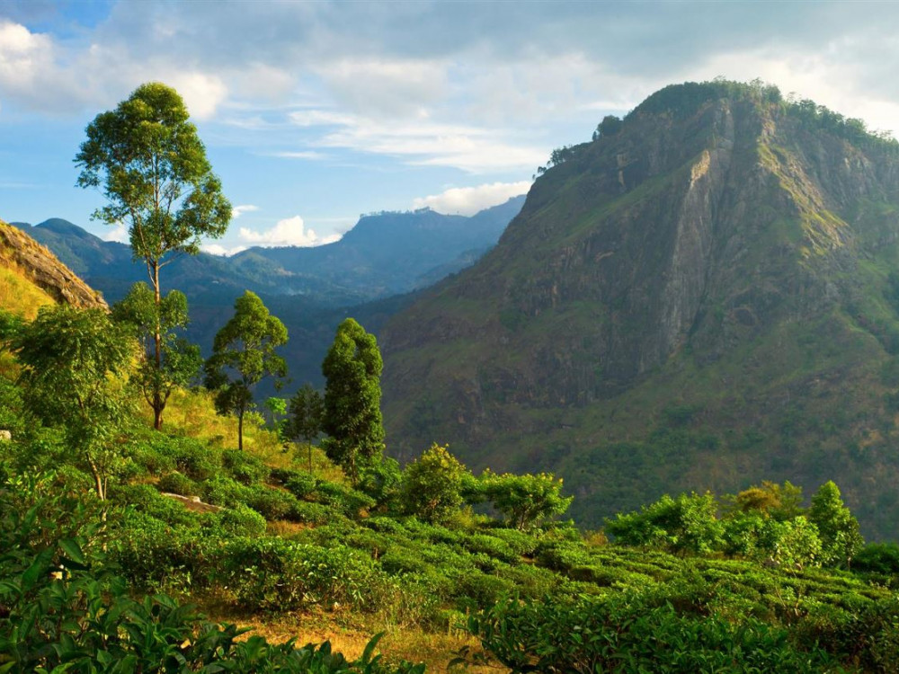 Ella, Sri Lanka - Undiscovered.nl