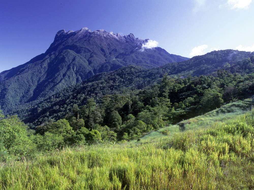 Mountain Kinabalu National Park - Undiscovered.nl
