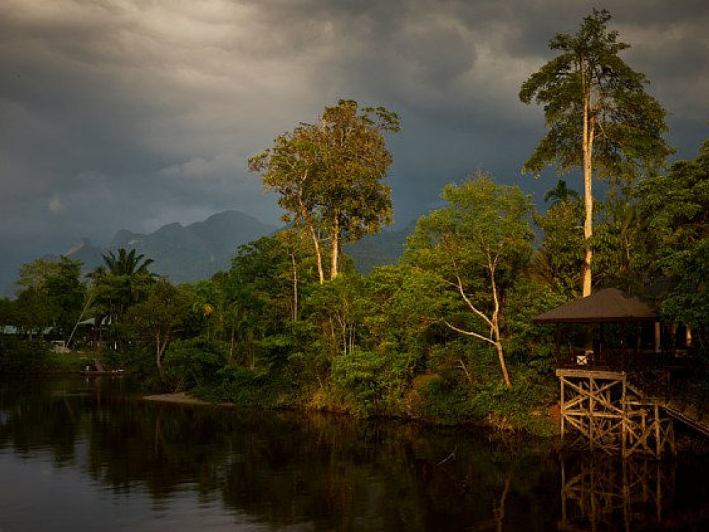 Borneo Mulu National Park - Undiscovered.nl