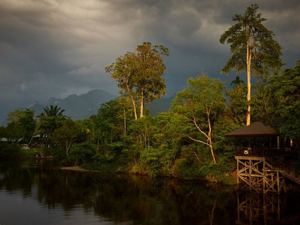 Borneo Mulu National Park - Undiscovered.nl