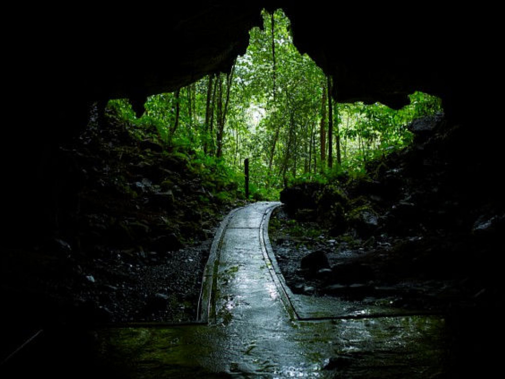 Borneo Mulu National Park - Undiscovered.nl
