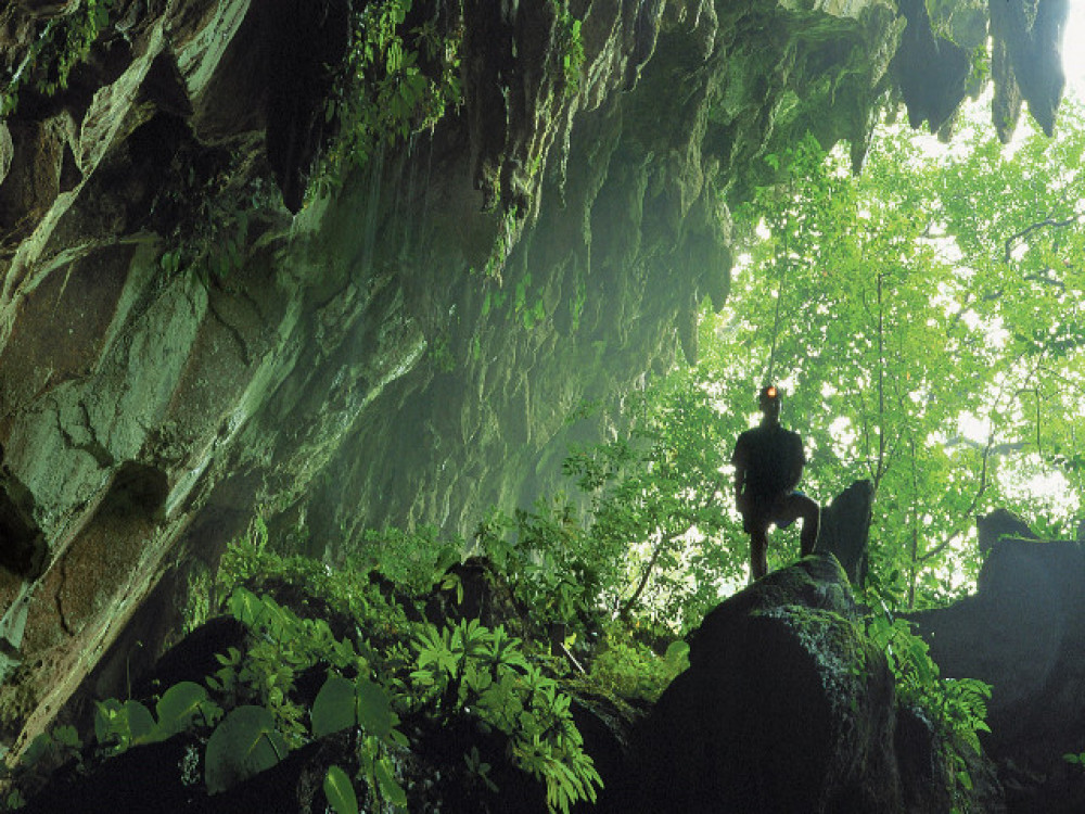 Borneo Mulu National Park - Undiscovered.nl