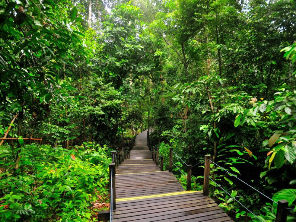 My Nature Resort, Borneo - Undiscovered.nl