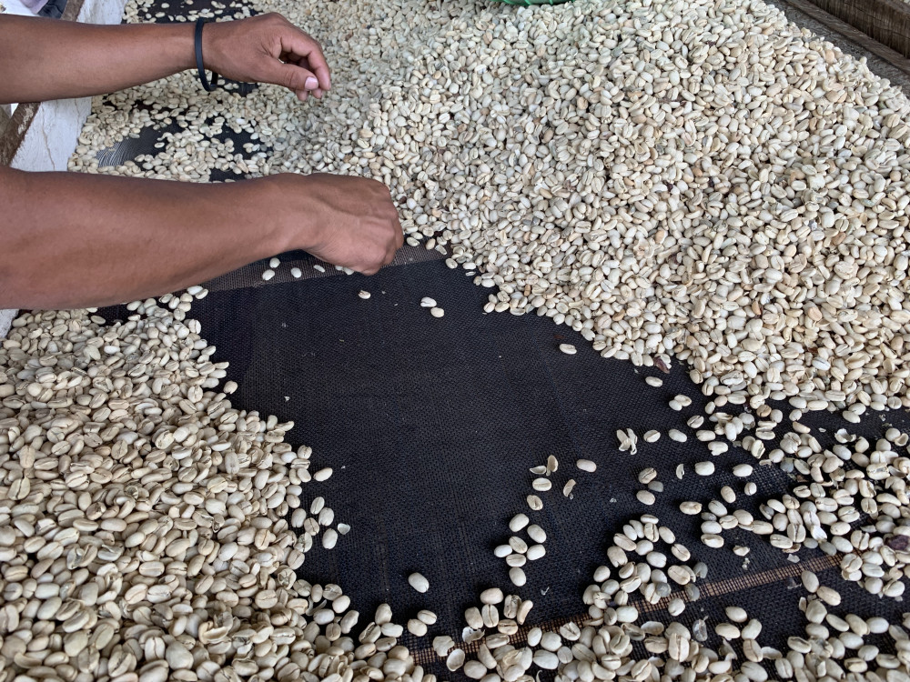 Bonen in Guatemala - Undiscovered.nl