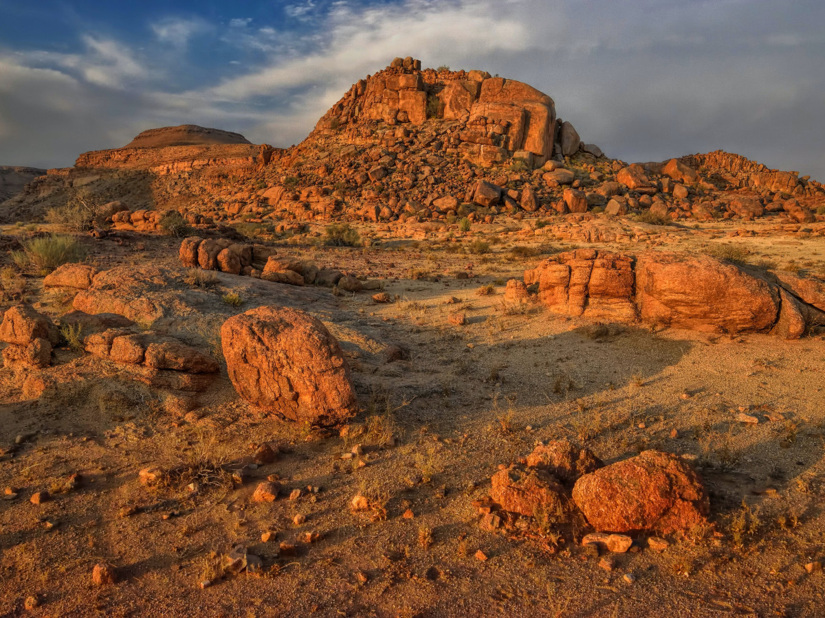 Olifant in Twyfelfontein, Namibië - Undiscovered.nl