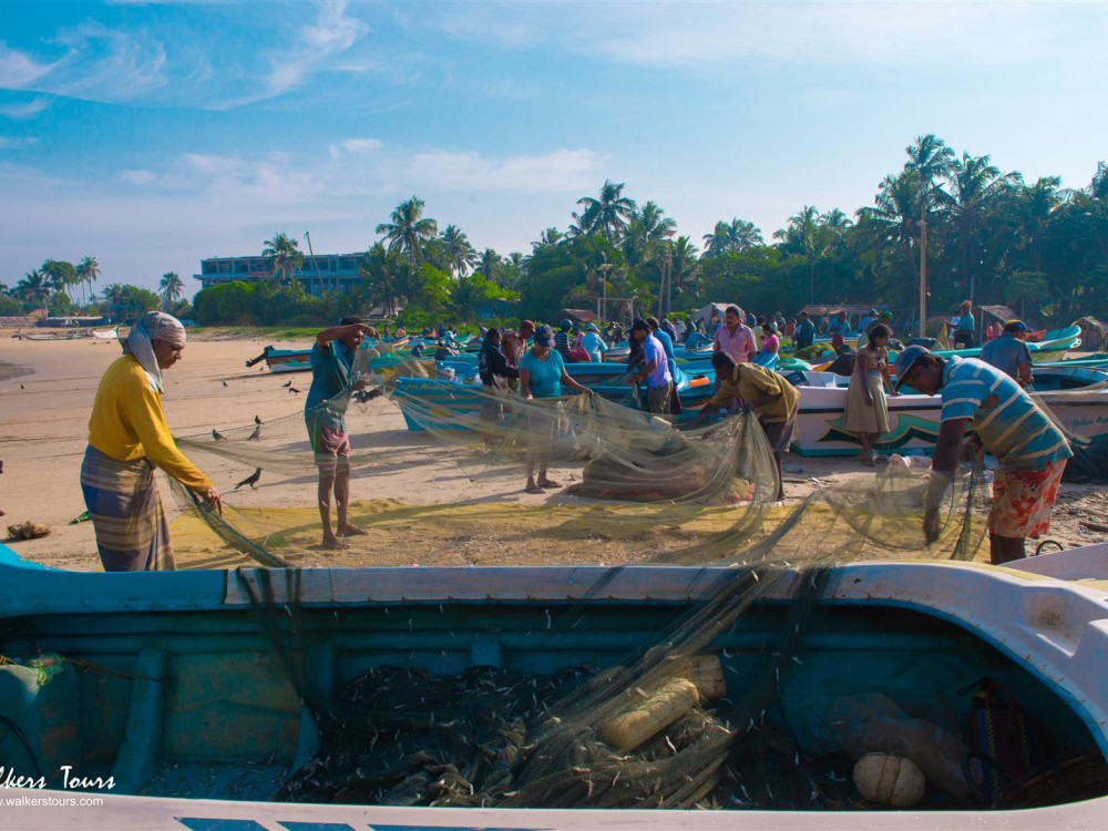 Negombo Sri Lanka - Undiscovered.nl