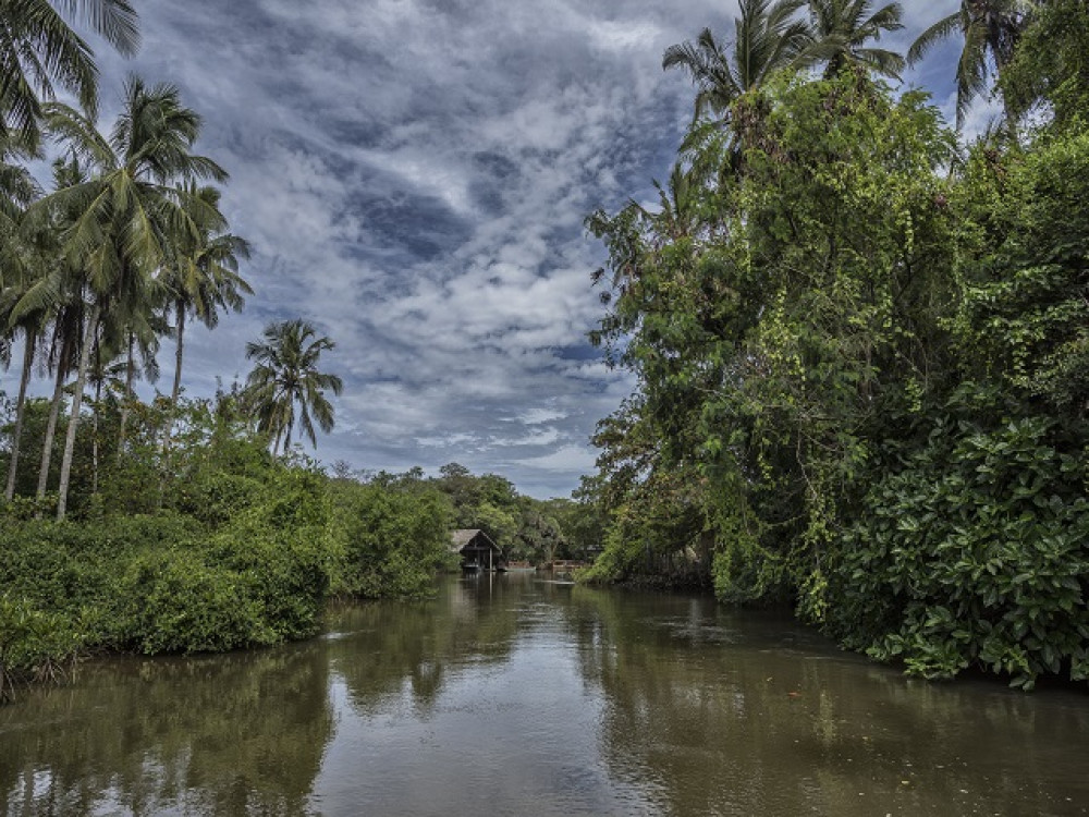 Muthurajawela Marsh, Sri Lanka - Undiscovered.nl