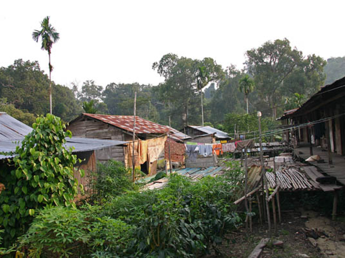 Omgeving Borneo - Undiscovered.nl