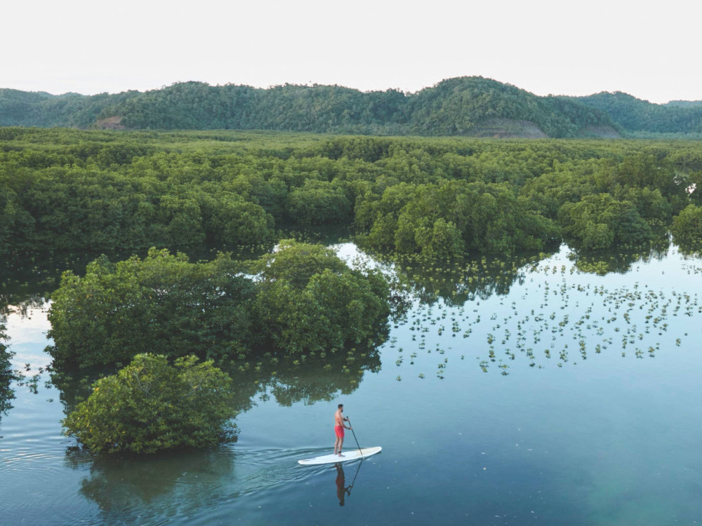 Suppen door mangroves op Siargao met Nay Palad Hideaway - Undiscovered.nl