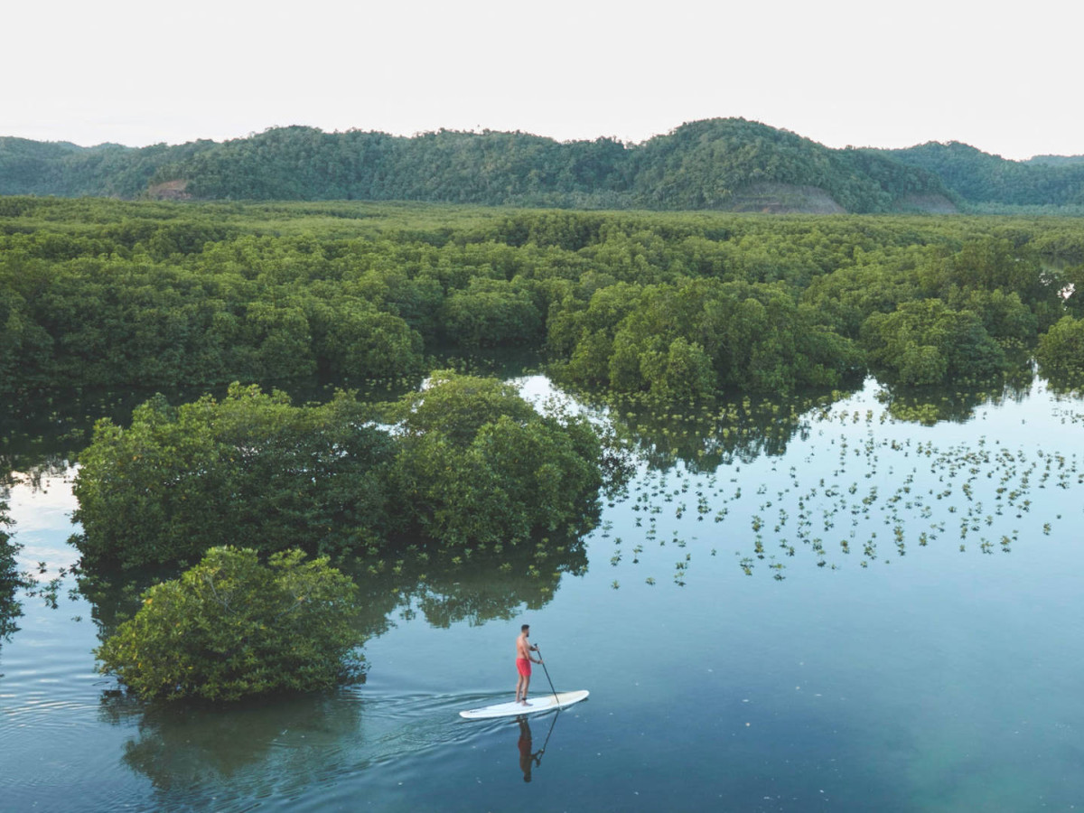 Suppen door mangroves op Siargao met Nay Palad Hideaway - Undiscovered.nl