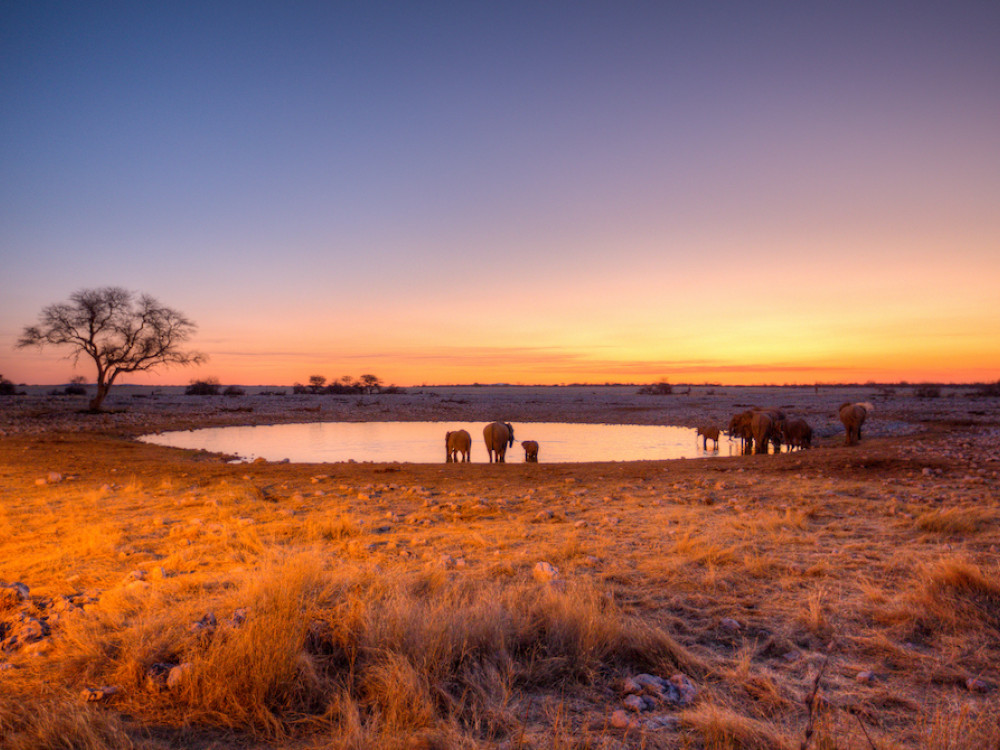 Okaukuejo Camp, Namibië - Undiscovered.nl