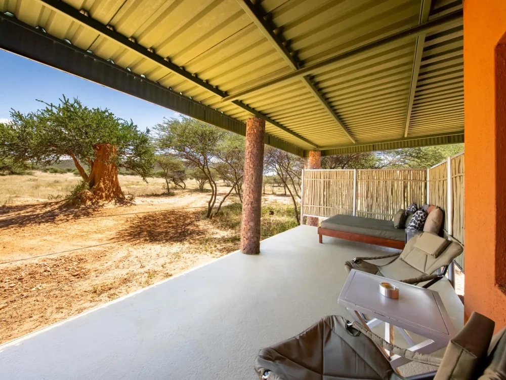 Okonjima Plains Camp, Namibië - Undiscovered.nl
