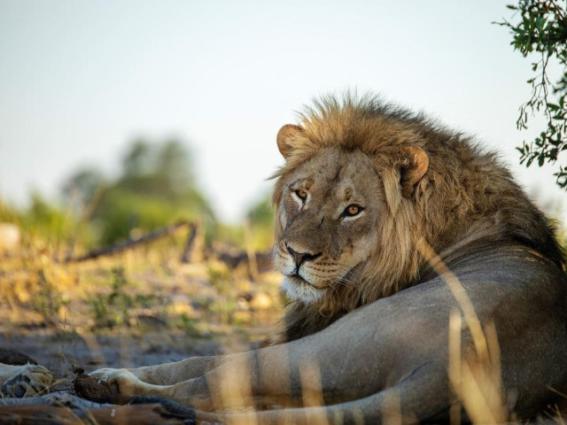 Hwange National Park Zimbabwe - Undiscovered.nl