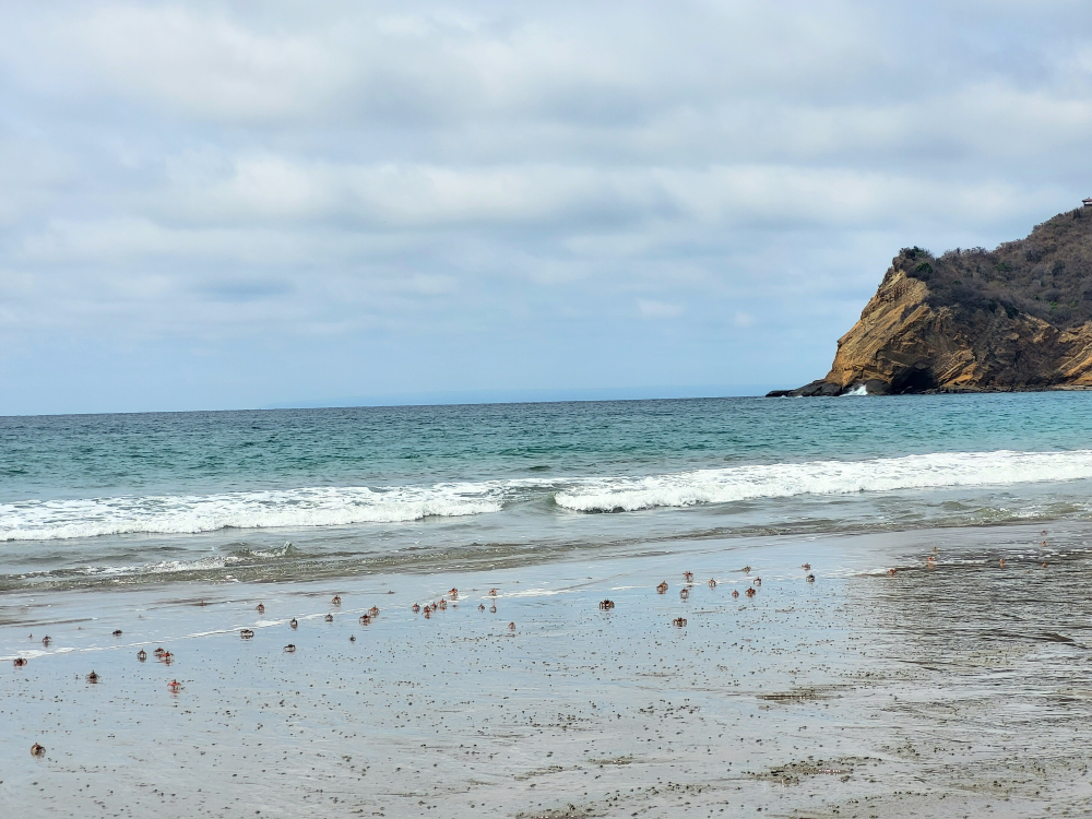 Puerto Lopez, Ecuador - Undiscovered.nl