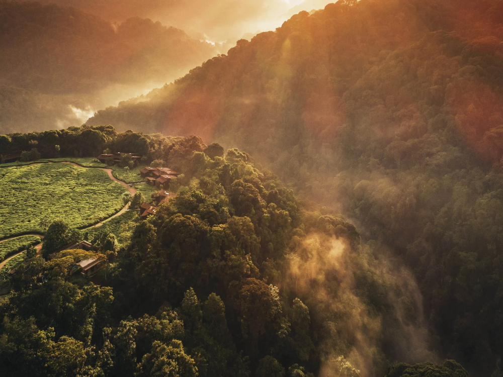 One&Only Nyungwe House, Rwanda - Undiscovered.nl