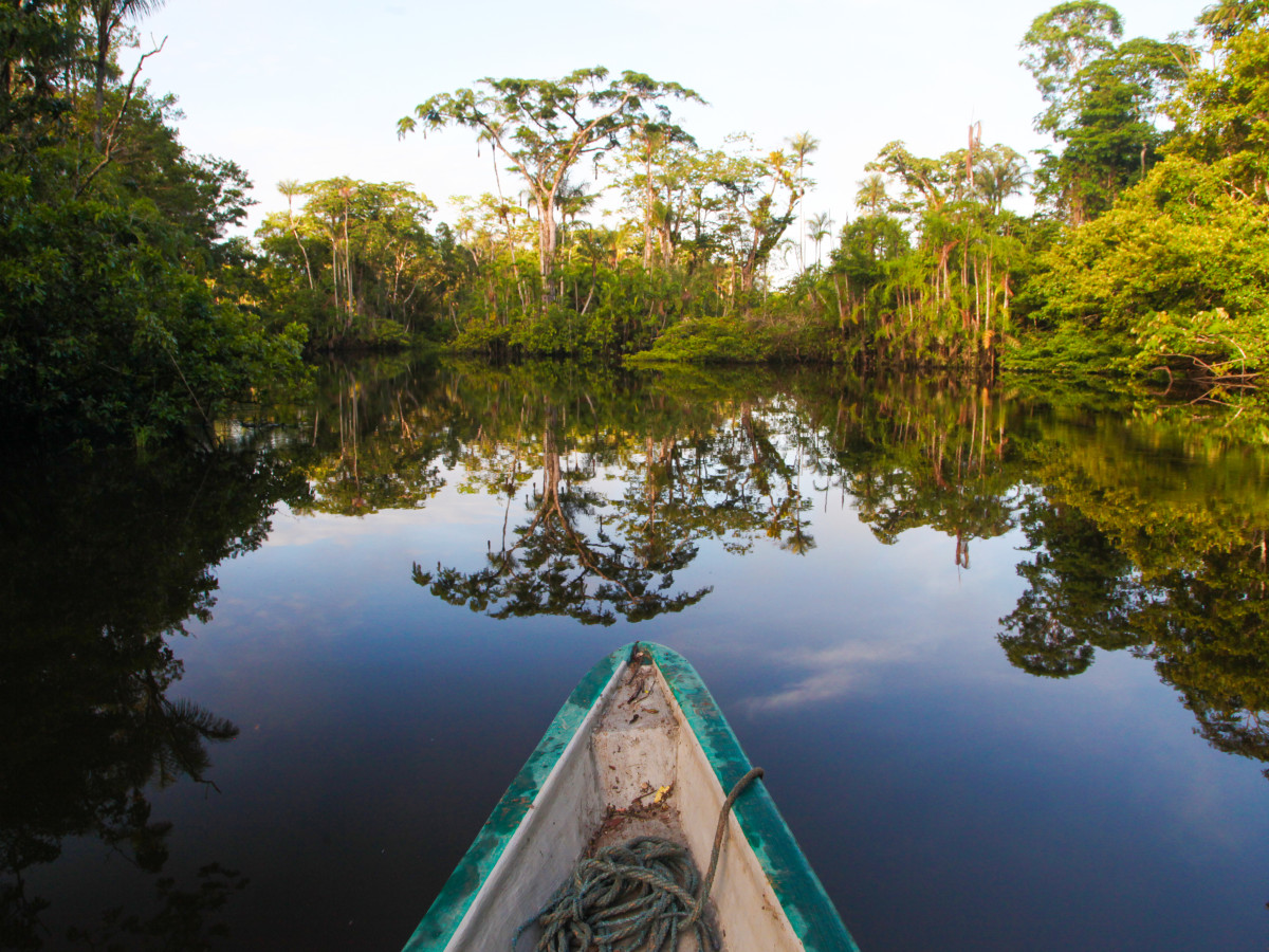 Orellana Lagoon Amazone, Ecuador - Undiscovered.nl