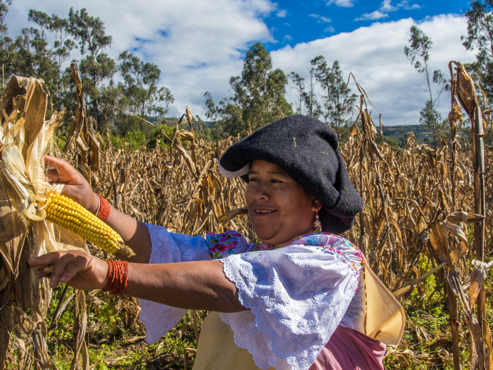 Lokale bevolking van Otavalo, Ecuador - Undiscovered.nl