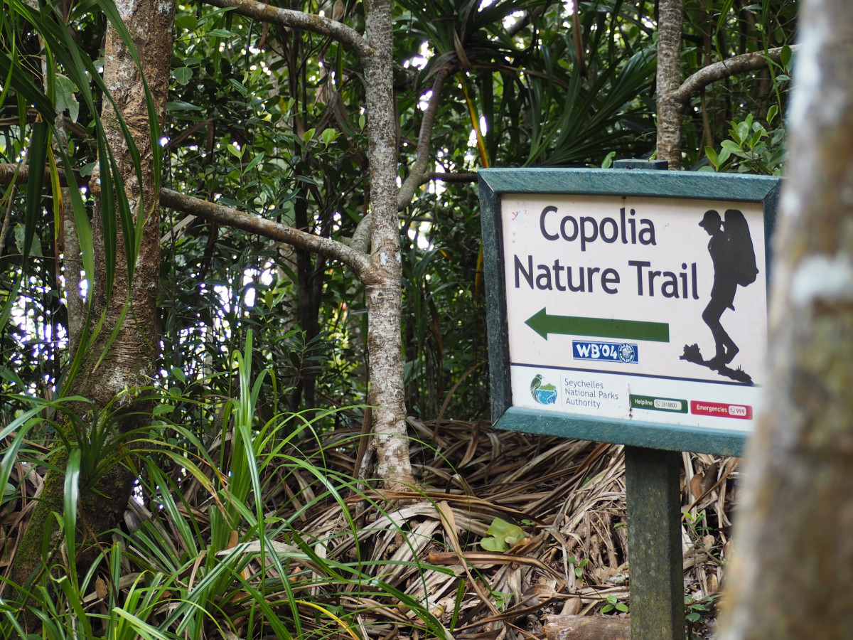 Copolia Nature Trail Mahé Seychellen - Undiscovered.nl
