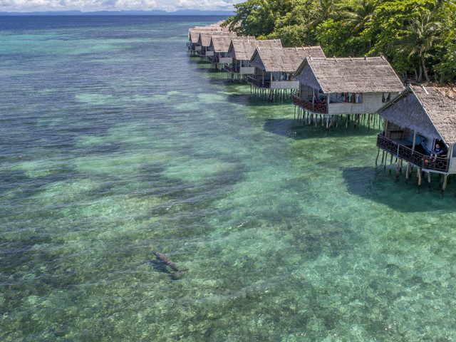 Papua Paradise Eco Resort - Undiscovered.nl