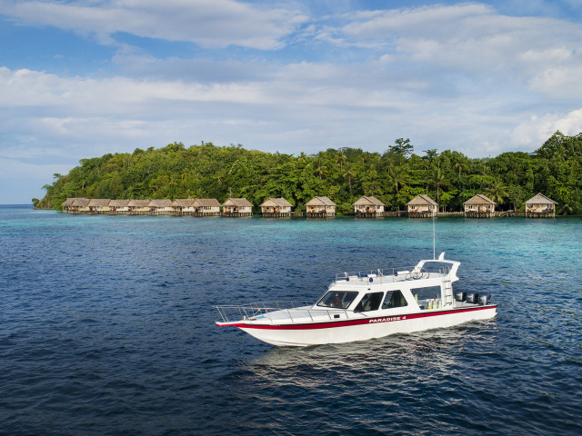 Papua Paradise Eco Resort - Undiscovered.nl