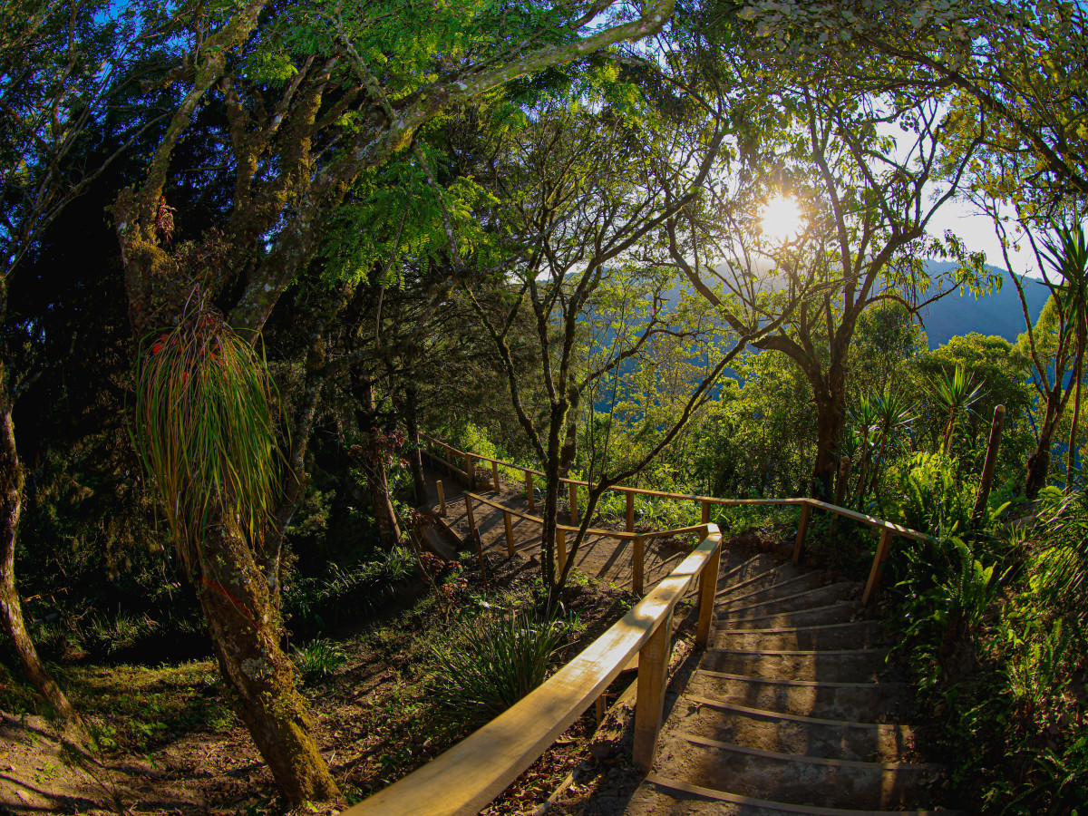 Parque Nacional El Boquerón, El Salvador - Undiscovered.nl