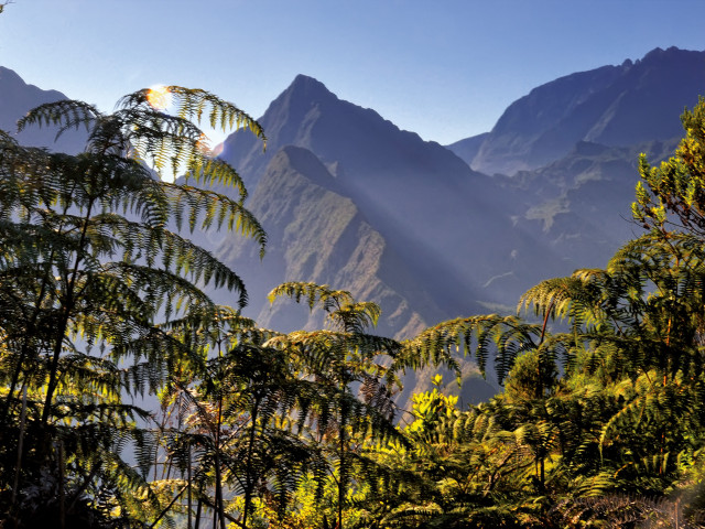 Hoge bergen in Réunion - Undiscovered.nl