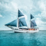 Philippine Siren Liveaboards - Undiscovered.nl