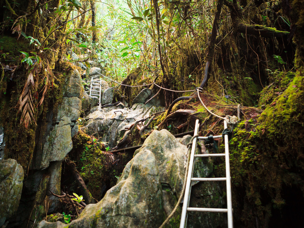 Pinnacles Trek Gunung Mulu National Park, Borneo - Undiscovered.nl
