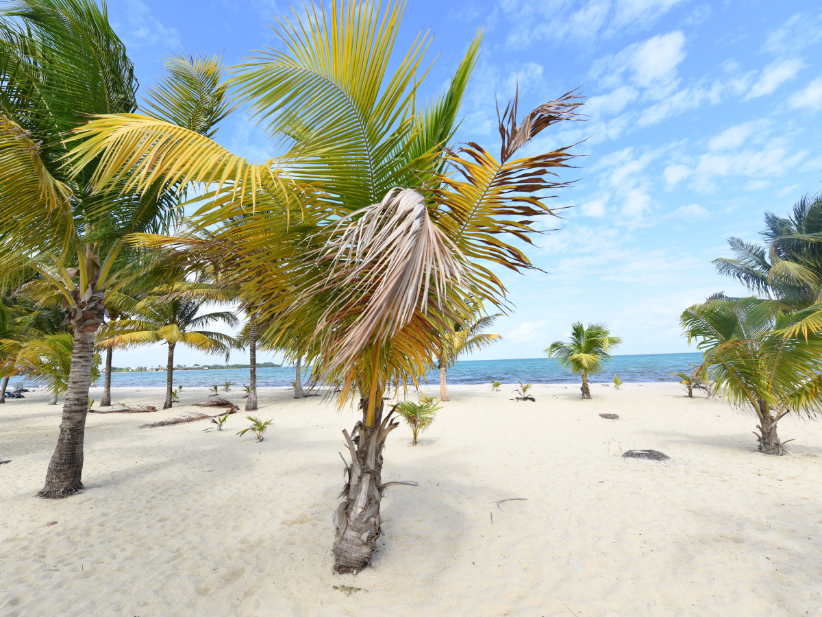 Placencia, Belize - Undiscovered.nl