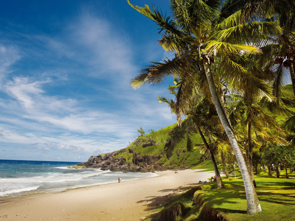 Strand met palmbomen in Réunion - Undiscovered.nl