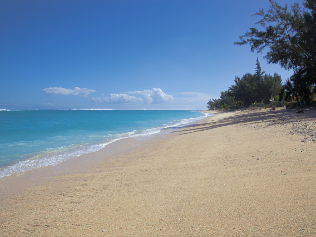 Strand in Réunion - Undiscovered.nl