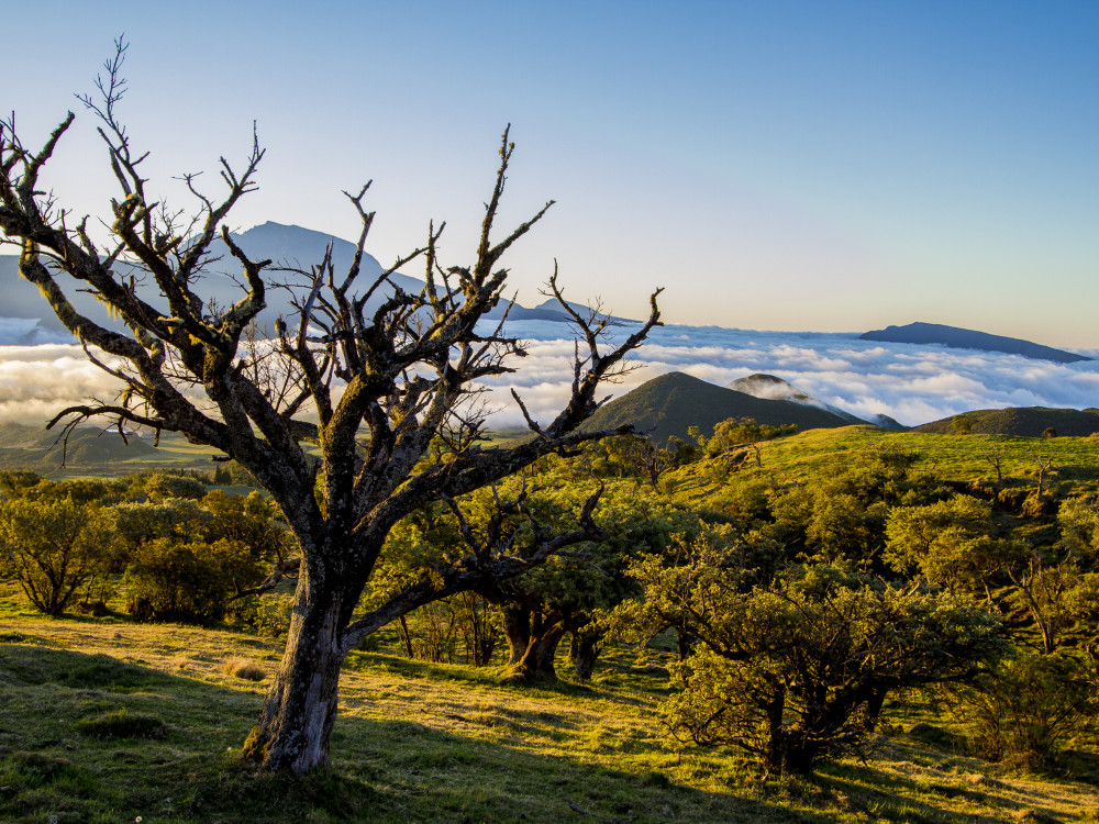 Natuurgebied in Réunion - Undiscovered.nl
