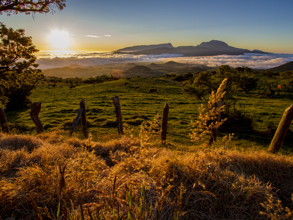 Landschap van Réunion - Undiscovered.nl