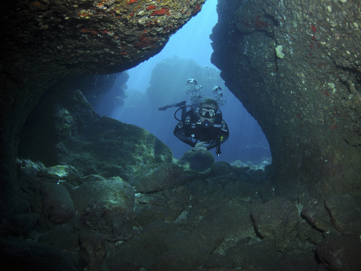 Duiker - Undiscovered.nl