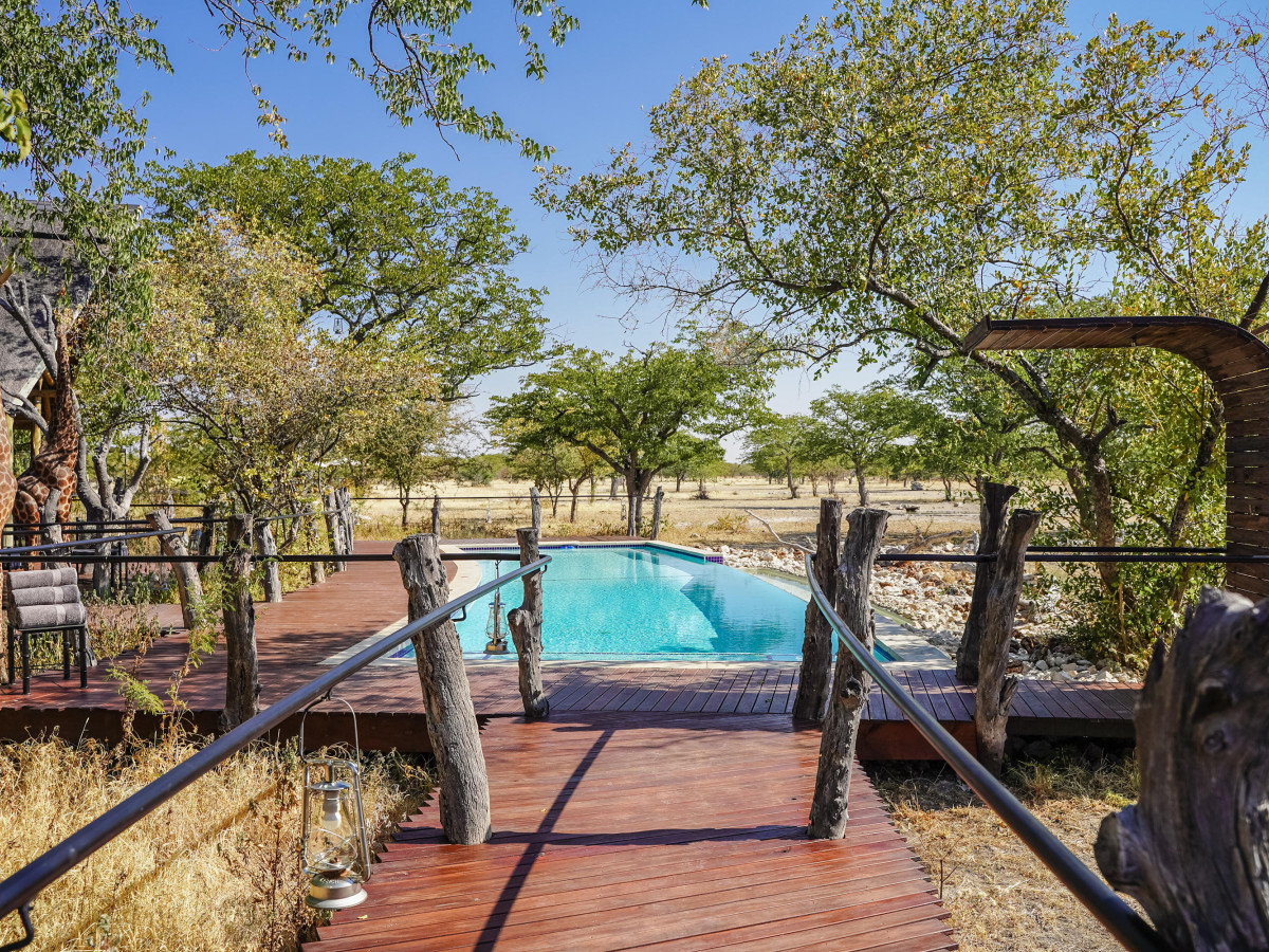 Etosha Oberland Lodge, Namibië - Undiscovered.nl