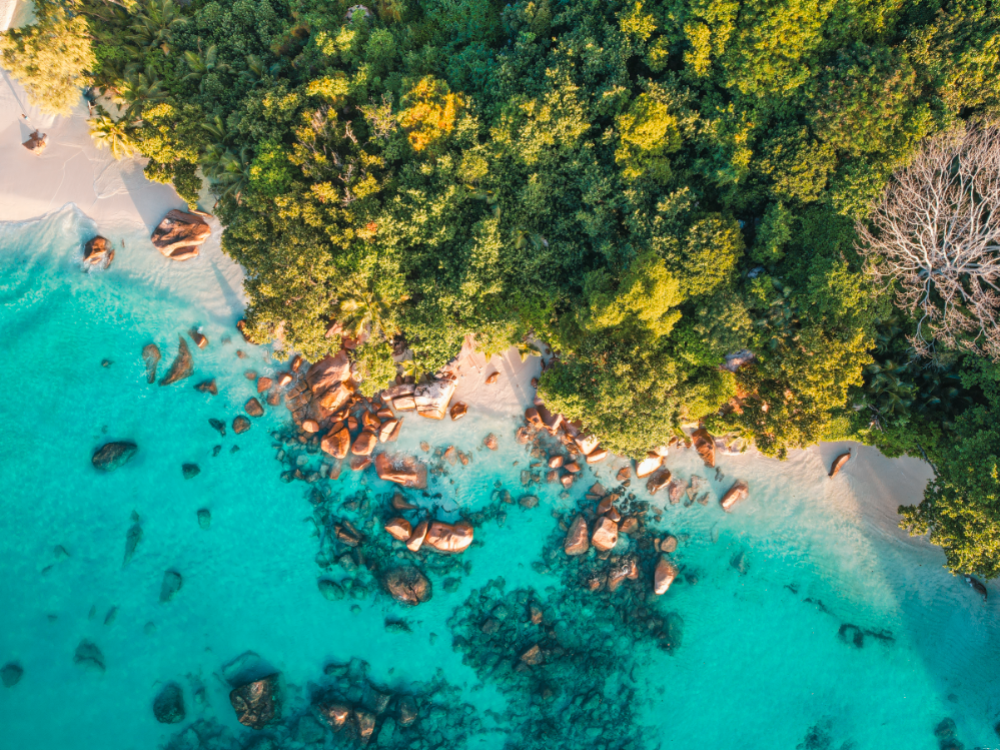 Praslin Seychellen - Undiscovered.nl