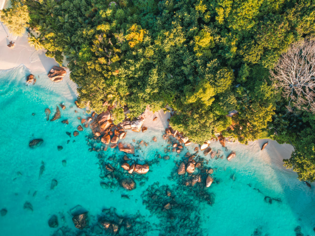 Praslin Seychellen - Undiscovered.nl