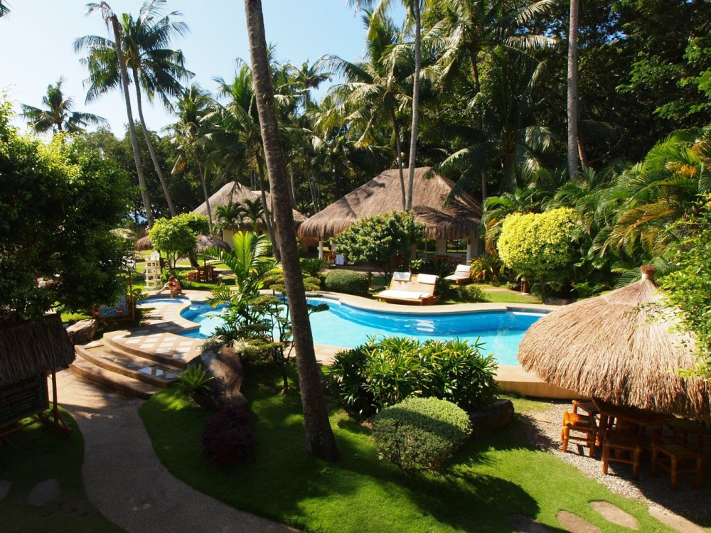 zwembad bungalow pura vida - Undiscovered.nl